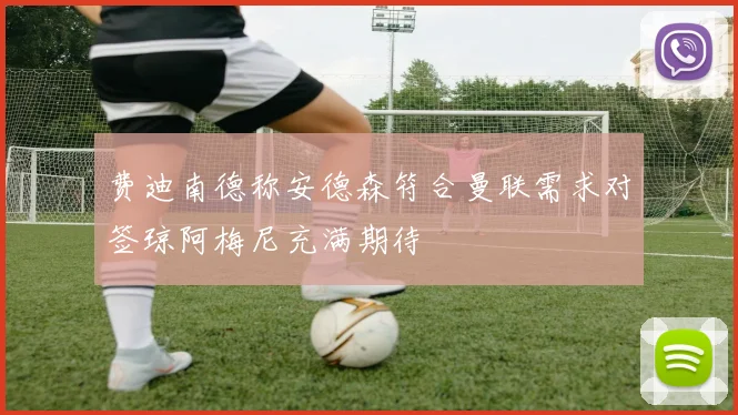 费迪南德称安德森符合曼联需求对签琼阿梅尼充满期待
