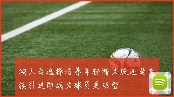 湖人是选择培养年轻潜力股还是直接引进即战力球员更明智