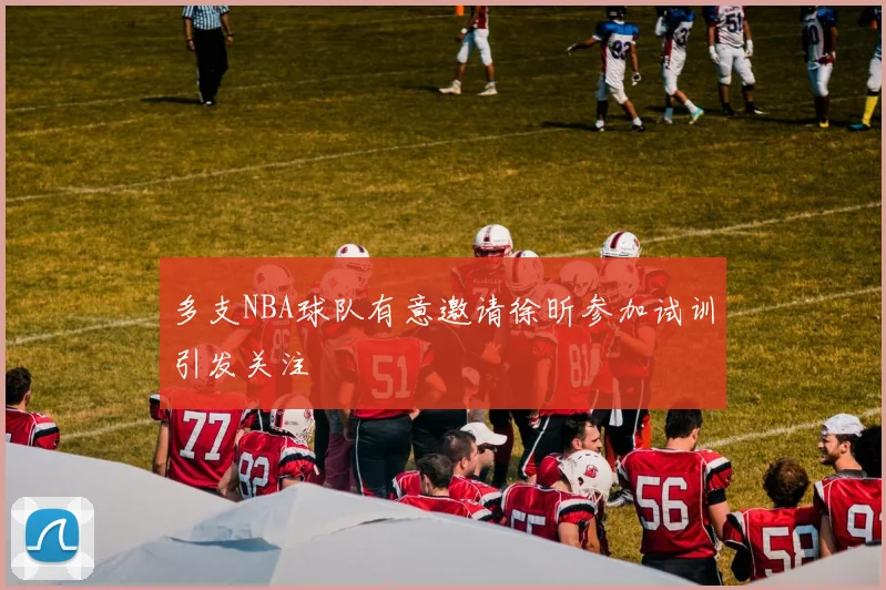 多支NBA球队有意邀请徐昕参加试训引发关注